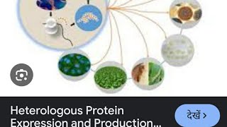 AIIMSampNEET BIOLOGY ampCSIRNET LIFESCIENCESheterologous gene expression [upl. by Nnylf848]