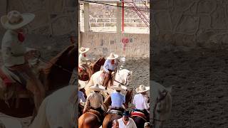 CABALLO BAILANDO con ritmo y elegancia Union De San Antonio Jalisco 🇲🇽  Dancing Horse [upl. by Valerye478]