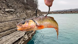 Fishing Off a CLIFF for MONSTER Fish Insanely Deep [upl. by Hazem]