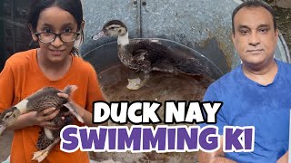 Baby Duck Swim First Time  Duckling Baby [upl. by Nirre]