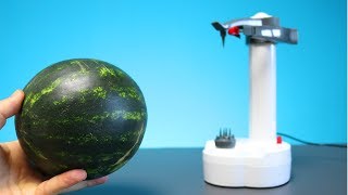 Kann ein Elektroschäler eine Wassermelone schälen Experiment [upl. by Arval]