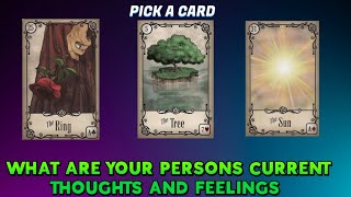 ✨️PickACard✨️What Are Your Persons Thoughts And Feelings For YouWhat They Are Not Revealing😔 [upl. by Bartholomew]