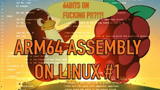 ARM64 Assembler on Pi4 part1 [upl. by Hilar]