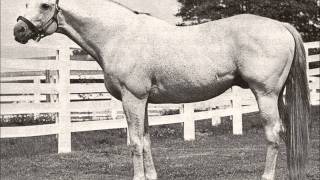 25 Greatest American Race Horses [upl. by Delmore]