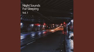 Night Time Noises [upl. by Fawcette]