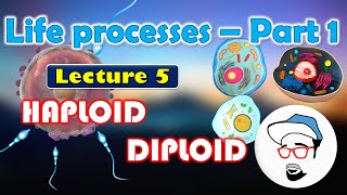 Haploid VS Diploid  Life processes in Living Organisms Part 1 Class 10 SSC CBSE [upl. by Hardden]