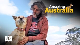 Farmer controls wild dingos with his own pack 🐶  ABC Australia [upl. by Roanne]