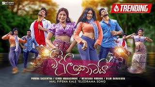 Viduli Kotai විදුලි කොටයි  Reprise Version  Mal Pipena Kale Teledrama Song  eTunes [upl. by Asirral]