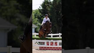 Jumping into the week in QUINN LITE Competition 👀🐴 horse equestrian [upl. by Mcnalley]