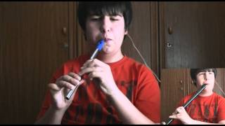 Cooleys reel  Tin Whistle amp Low Whistle [upl. by Ykcor885]