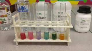 Anthocyanin as a pH Indicator [upl. by Alyac]