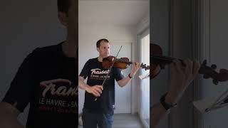 Daylight  Taylor Swift  violin cover [upl. by Noside]