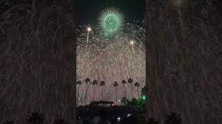 quotOUR EPIC FIREWORKS DISPLAY Stunning Pyrotechnic Show Lights Up Los Angeles Harborquot [upl. by Leede]