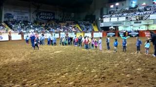 Fort Worth Rodeo Kids Chasing a sheep [upl. by Ahserkal]