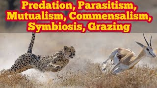 Predation Parasitism Symbiosis Mutualism Commensalism and Grazing  Biology 12th  Chap 25 [upl. by Sidonia]