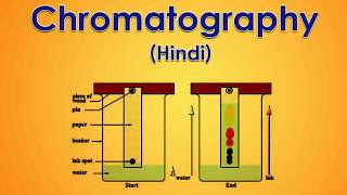 Chromatography 15 Hindi [upl. by Haduj823]