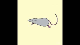 Rat Run Cycle Animation [upl. by Derk]