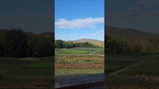 Fishkill Farms NY upstateny newyorkstate family travel relaxing iloveny [upl. by Daberath36]