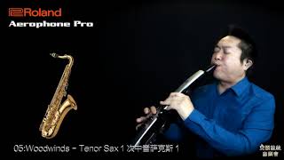 Roland Aerophone Pro AE30 Scene TestTenor Sax [upl. by Orren]