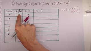 Calculating Simpsons Diversity Index [upl. by Nickola]