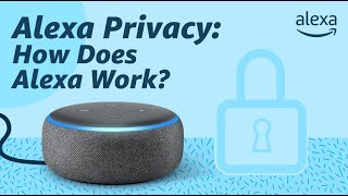 Alexa Privacy How Does Alexa Work [upl. by Ianahs]