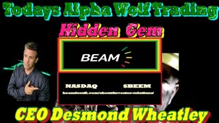 Alpha Wolf Follow Up With CEO Desmond Wheatley Beam Global Inc BEEM [upl. by Hurlee]