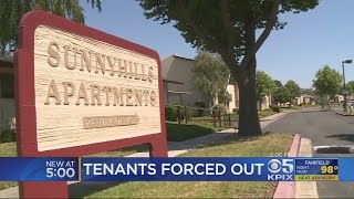 Hundreds At Milpitas Apartment Complex Set For Eviction [upl. by Aisatsan864]