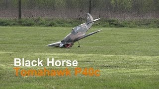 Blackhorse Tomahawk P40c landing gear problems [upl. by Trudie]