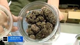 Several Minnesota cities counties instating marijuana moratoriums [upl. by Meesan]