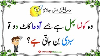 quotRiddles in Urdu with Answers  Amazing Facts amp KM in Urdu amp Hindiquot knowledge Maloomat [upl. by Haelem328]