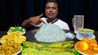 ASMR MUKBANG  TODAY I AM GOING TO EAT DAL BHAT  PABDA FISH  EGG CURRY AND MANY MORE [upl. by Clementine361]