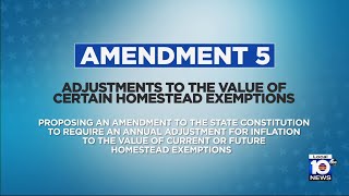 Vote 2024 Amendment 5 explained [upl. by Dole]