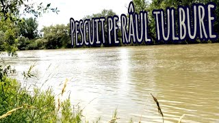 Pescuit pe râul tulbure  cum să prinzi pește când alții stau acasă [upl. by Dinin]