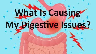 What Is Causing My Digestive Issues Includes some ranting [upl. by Micki119]