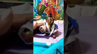 Jago Jago Prabhu ji Jago Sevak tumko jagane aayashortvideo laddgopal religion [upl. by Aretse295]