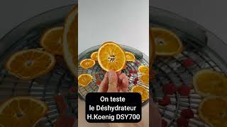 Test du Déshydrateur HKoenig DSY700  la Déshydratation à Petit Prix  🍎🍇🍓 [upl. by Noelopan]