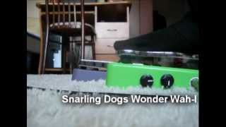 SNARLING DOGS Wonder Wah mod vs BUDDA Wah Purple label [upl. by Aleehs]