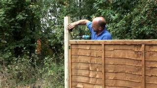 How to fix trellis onto a fence panel [upl. by Steffi809]