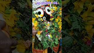 Pahandi Bije Of Lord Jagannath 🙏 Gudesira Rathayatra 2024 shorts rathyatra viral [upl. by Aihset]