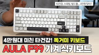 메인 키보드 바꿨습니다ㅣ4만원대 미친 가성비ㅣ독거미 AULA F99 적축 기계식키보드 [upl. by Alpheus817]