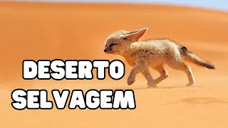 SAARA SELVAGEM  Muita areia e Camelos  Documentário Deserto do Saara [upl. by Anitirhc]