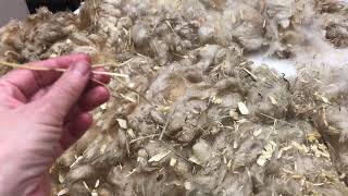 Fleece Skirting for Fiber Farmers [upl. by Enimasaj]