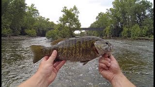 Summer Smallmouth Slay on the Scioto River [upl. by Eldoria]