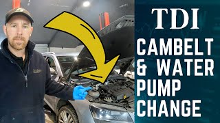 How to replace Timing belt Cambelt and water pump 20 TDI engine VAG SKODA VW SEAT AUDI [upl. by Nathan]