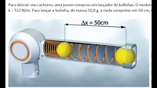 Para distrair seu cachorro uma jovem comprou um lançador de bolinhas O modelo conta com uma [upl. by Anam557]