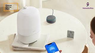 H7141 Govee Smart Humidifier User Manual  Safety Instructions [upl. by Hennessy]