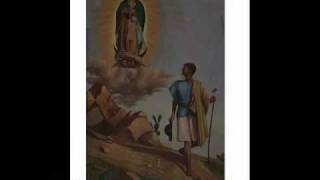 La Guadalupana Cantos a la Santísima Virgen de Guadalupe [upl. by Siesser]