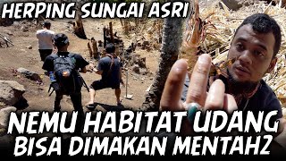 AIRNYA JERNIH BISA DIMINUM LANGSUNG BANYAK INDIKATOR HEWAN BAHKAN NEMUIN BEBERAPA JENIS BATU AKIK [upl. by Harlene774]