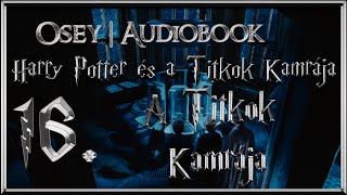 Harry Potter és a Titkok Kamrája hangoskönyv  16 fejezet [upl. by Aseiram]