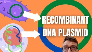 Recombinant DNA Technology Explained For Beginners [upl. by Aralk]